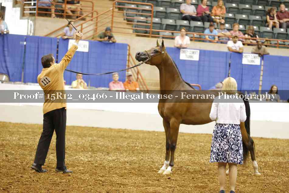Proof 15R12_03466