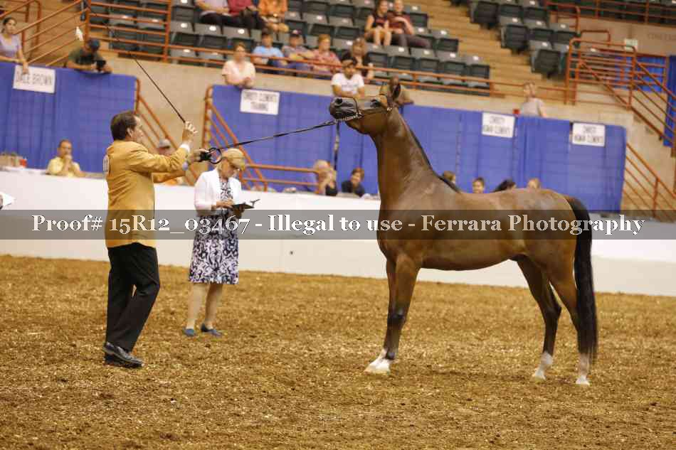 Proof 15R12_03467