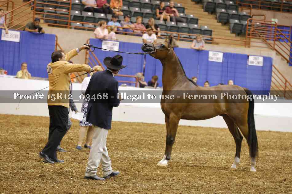 Proof 15R12_03468