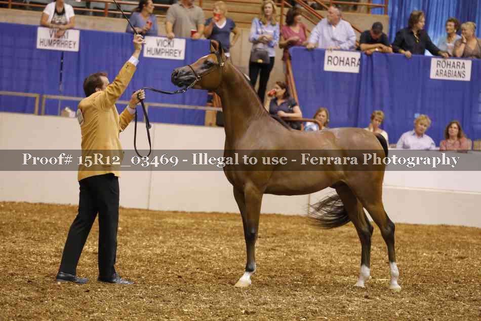 Proof 15R12_03469