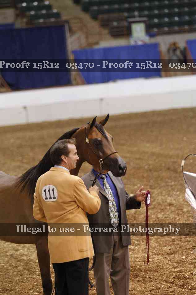 Proof 15R12_03470
