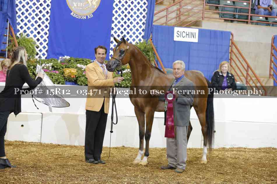 Proof 15R12_03471