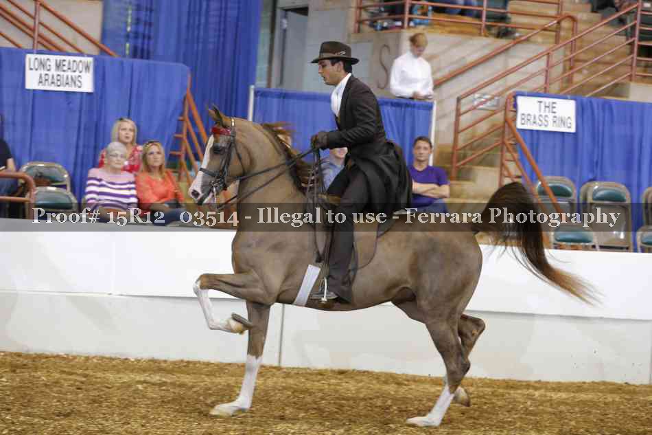 Proof 15R12_03514