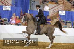 15R12_03514 proof