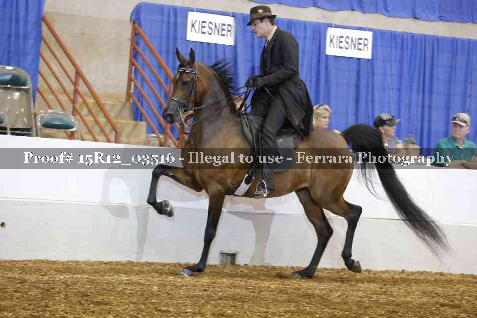 Proof 15R12_03516