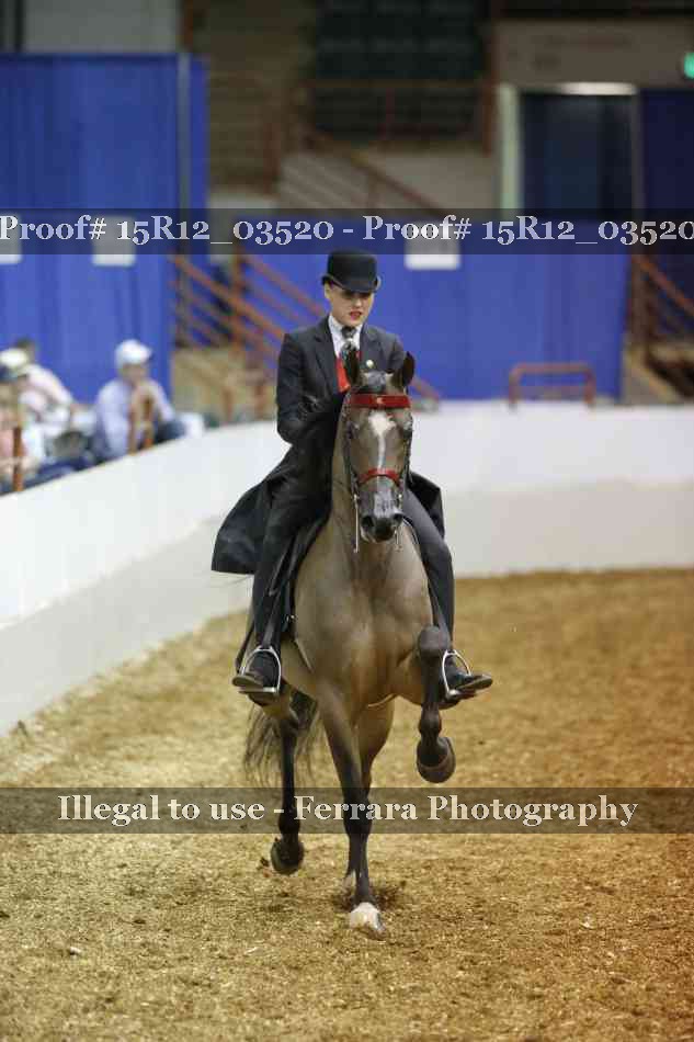 Proof 15R12_03520