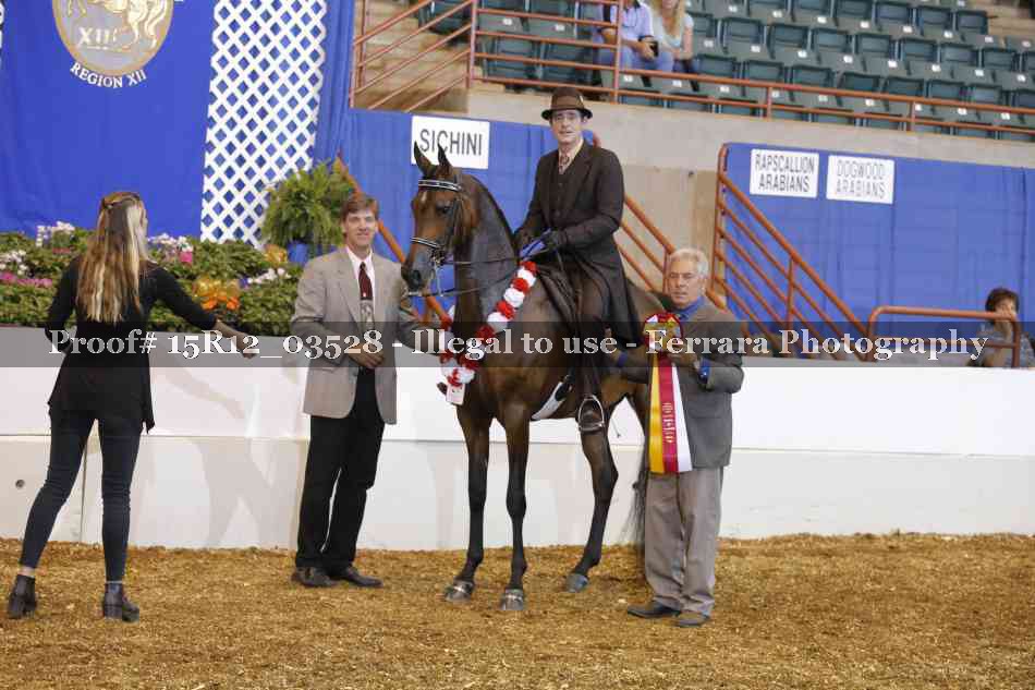 Proof 15R12_03528