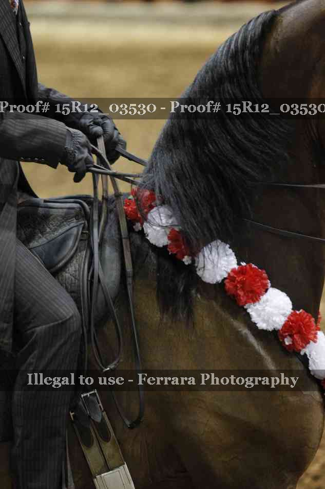 Proof 15R12_03530