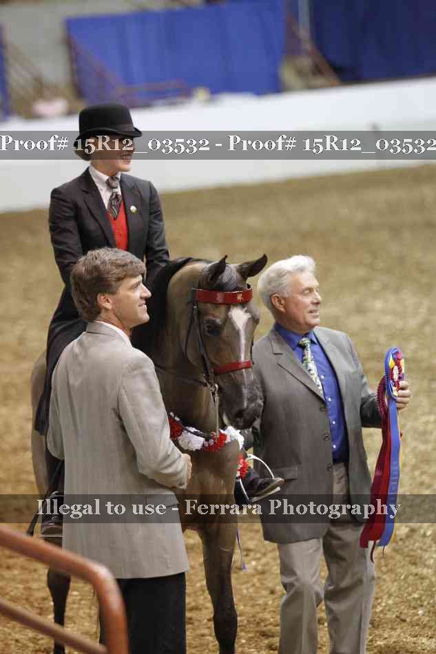 Proof 15R12_03532