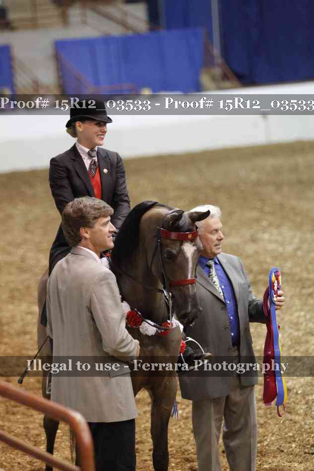 Proof 15R12_03533