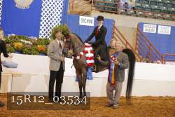 15R12_03534 proof