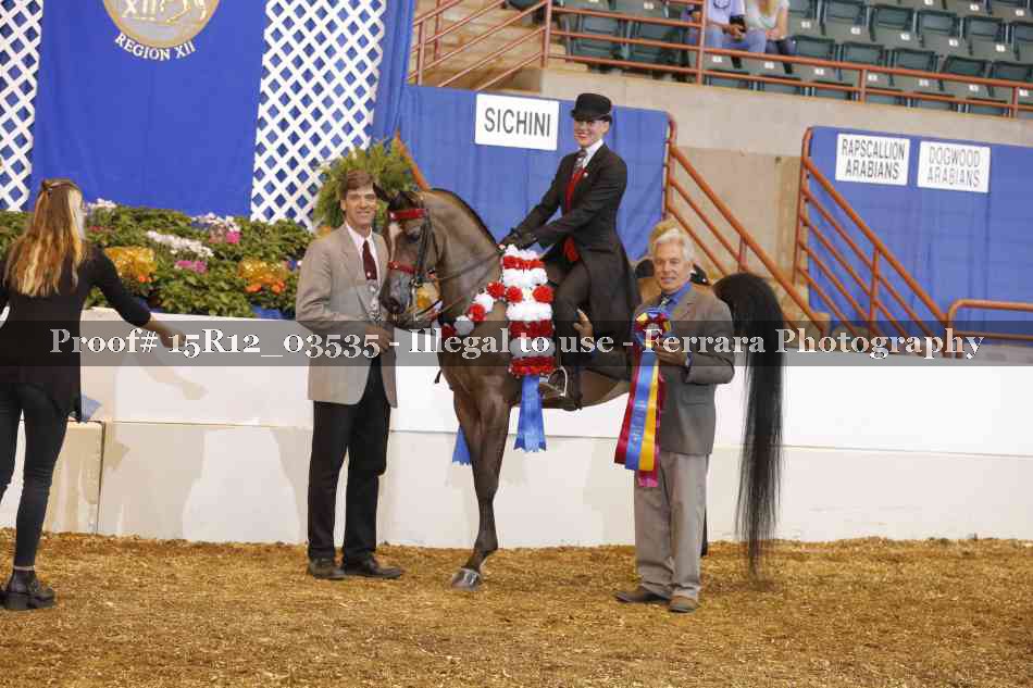Proof 15R12_03535