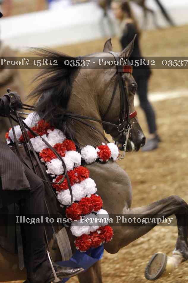 Proof 15R12_03537