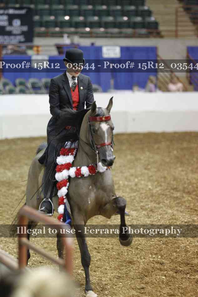 Proof 15R12_03544