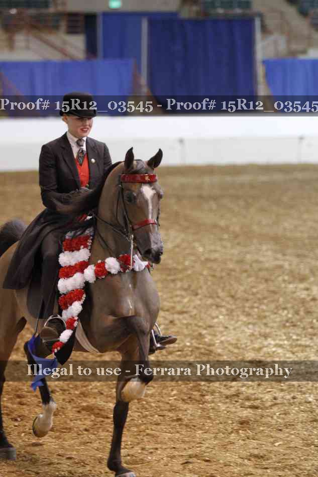 Proof 15R12_03545