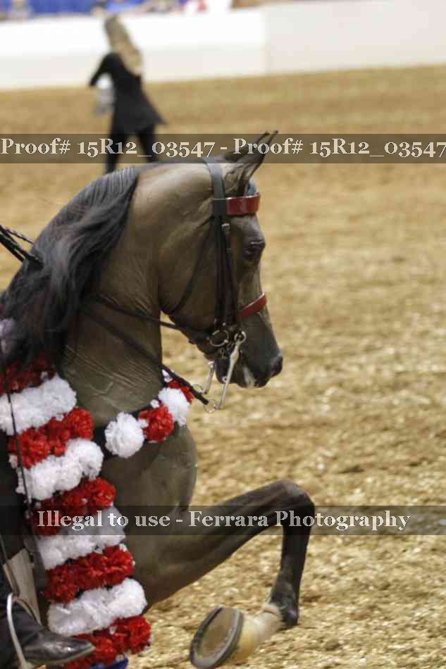 Proof 15R12_03547