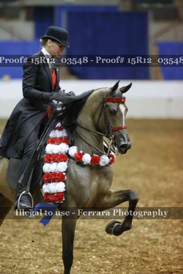 Proof 15R12_03548