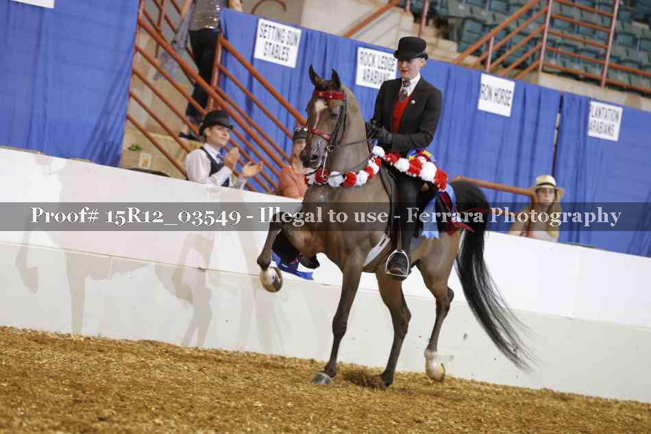 Proof 15R12_03549