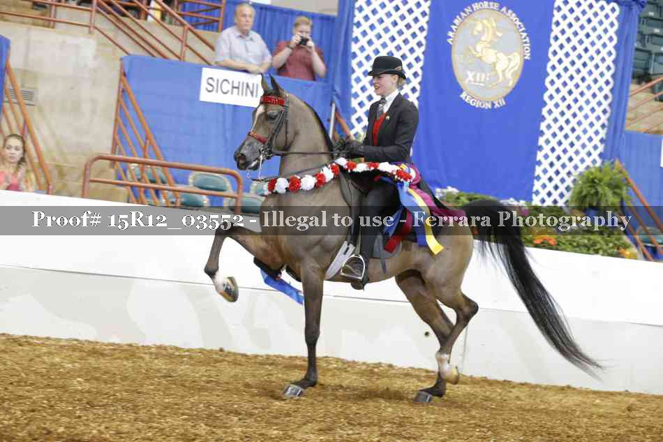 Proof 15R12_03552