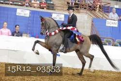 15R12_03553 proof