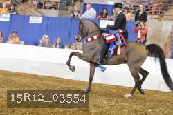 15R12_03554 proof