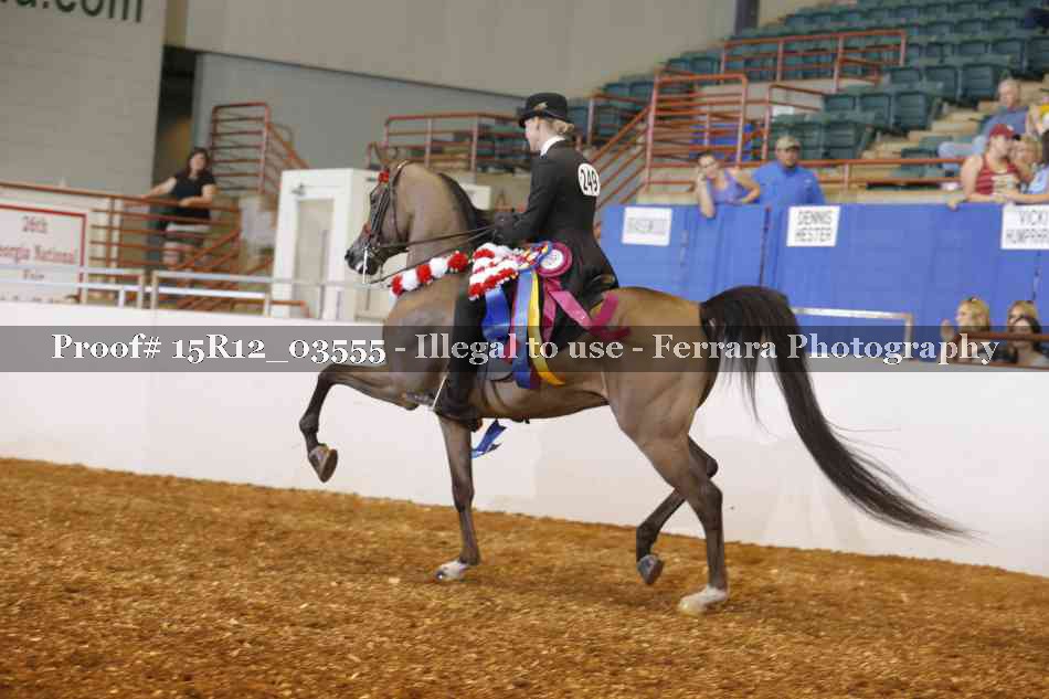 Proof 15R12_03555