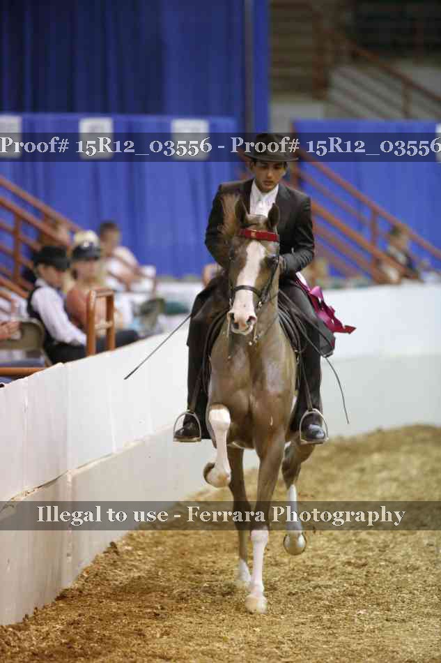 Proof 15R12_03556