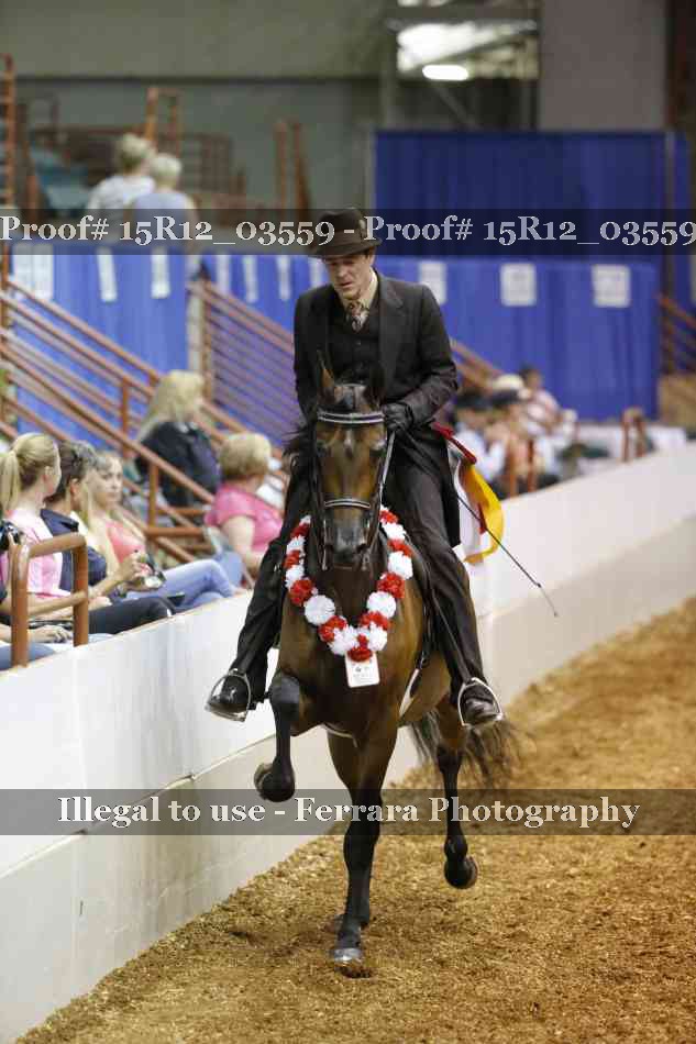 Proof 15R12_03559