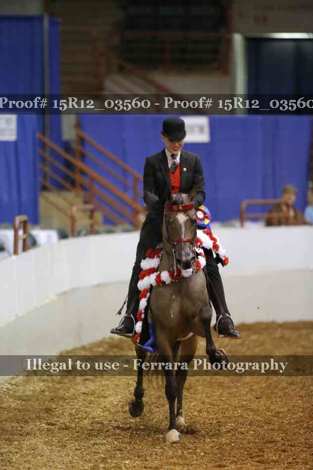 Proof 15R12_03560