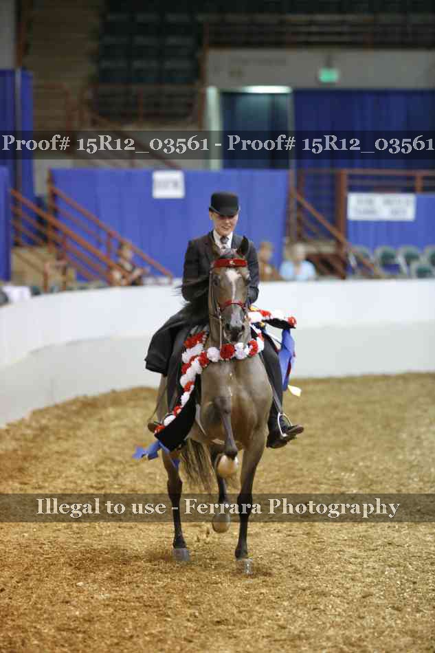 Proof 15R12_03561