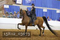 15R12_03673 proof
