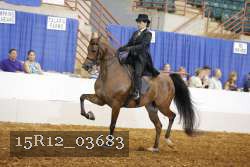 15R12_03683 proof