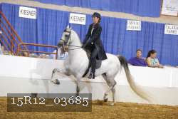 15R12_03685 proof