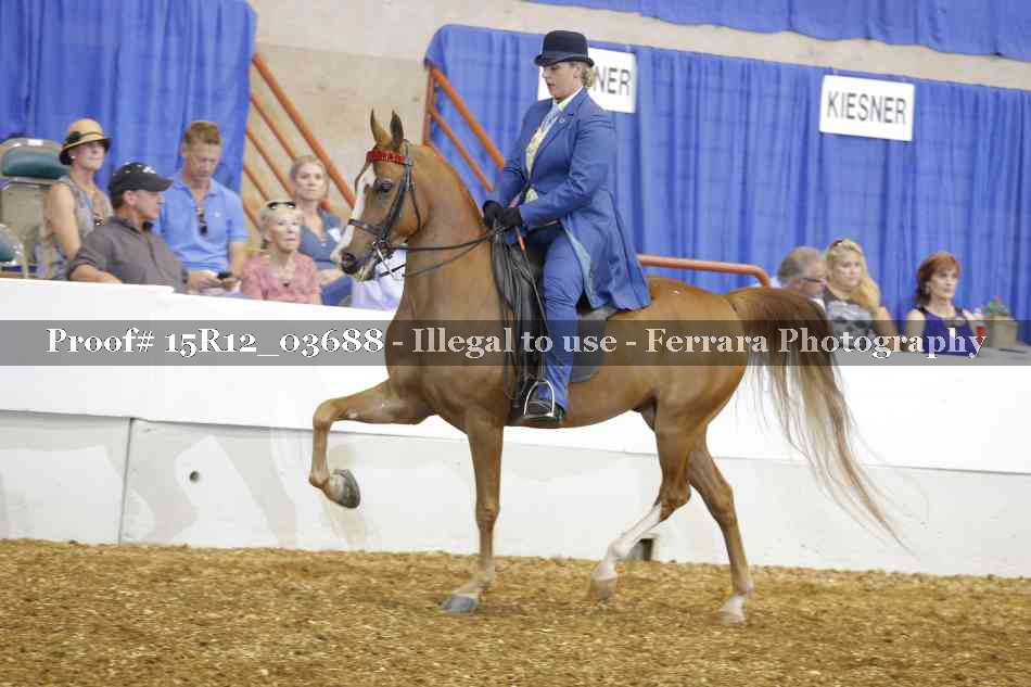 Proof 15R12_03688