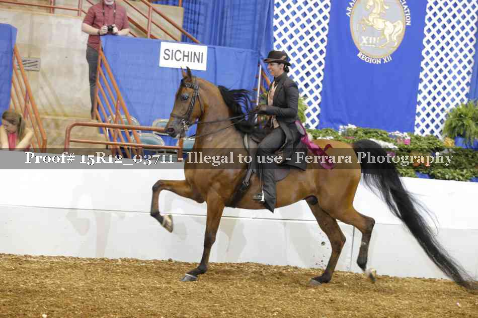 Proof 15R12_03711