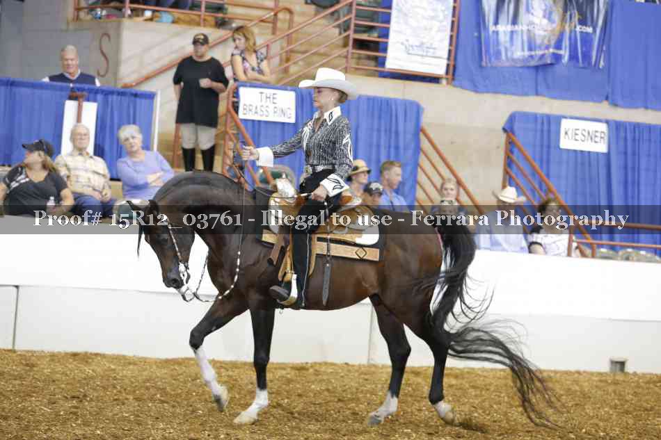 Proof 15R12_03761