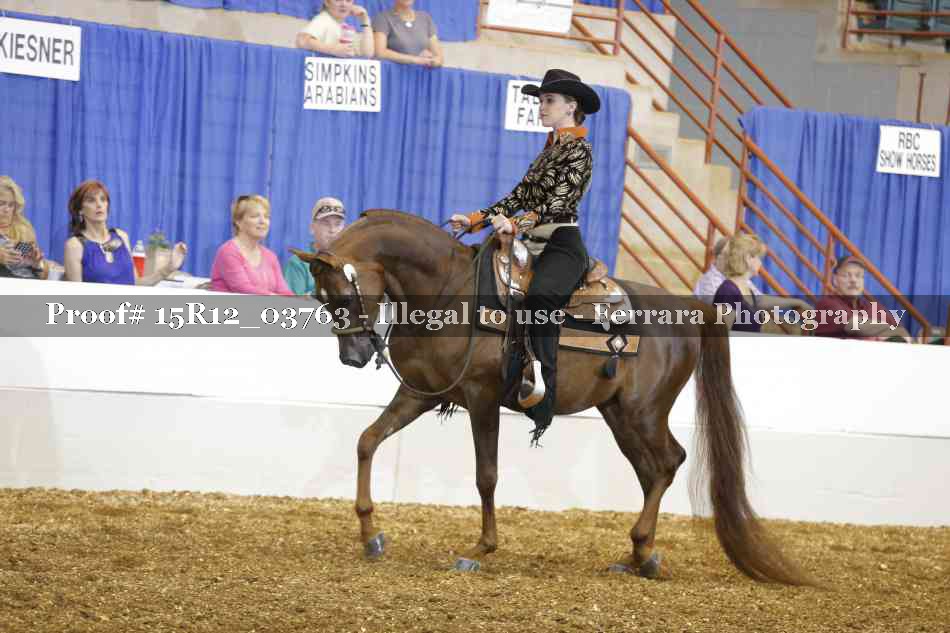 Proof 15R12_03763