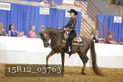 15R12_03763 proof