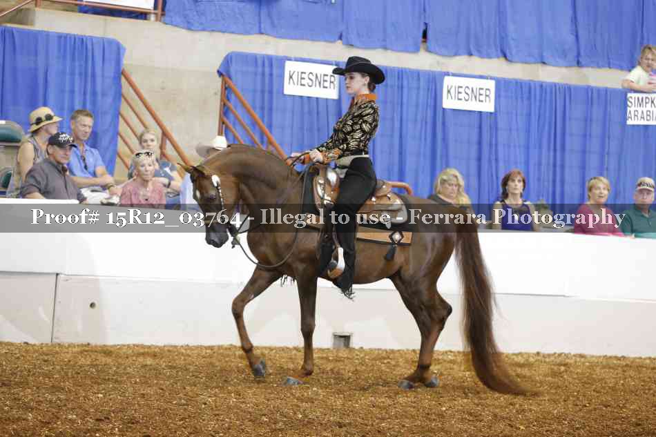 Proof 15R12_03764