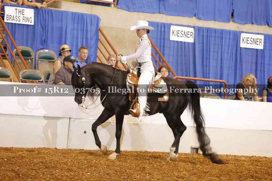 Proof 15R12_03765