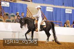 15R12_03765 proof