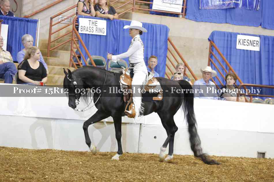 Proof 15R12_03766