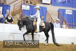 15R12_03766 proof
