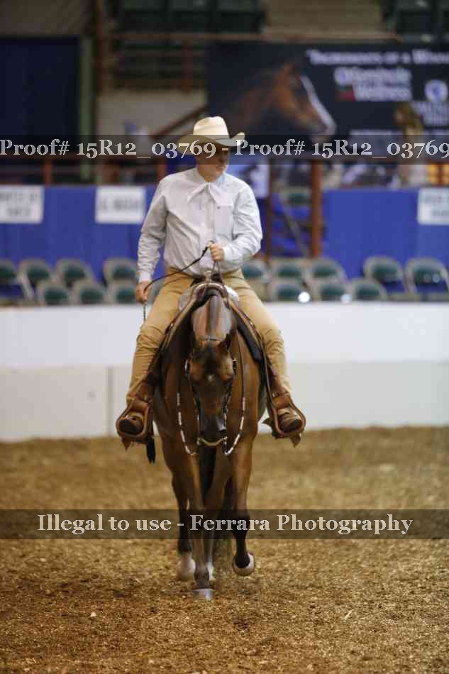Proof 15R12_03769