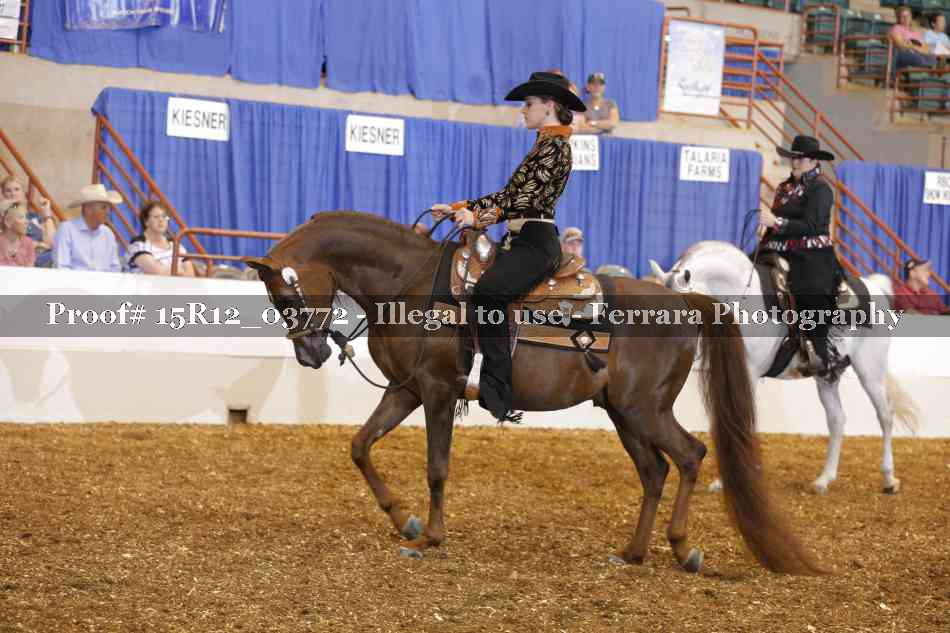 Proof 15R12_03772