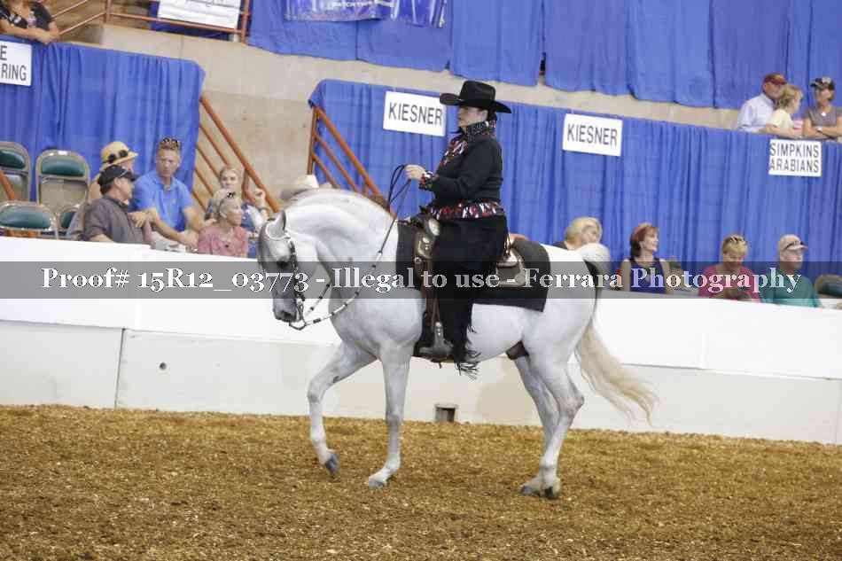 Proof 15R12_03773