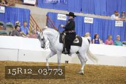 15R12_03773 proof