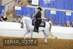 15R12_03774 proof