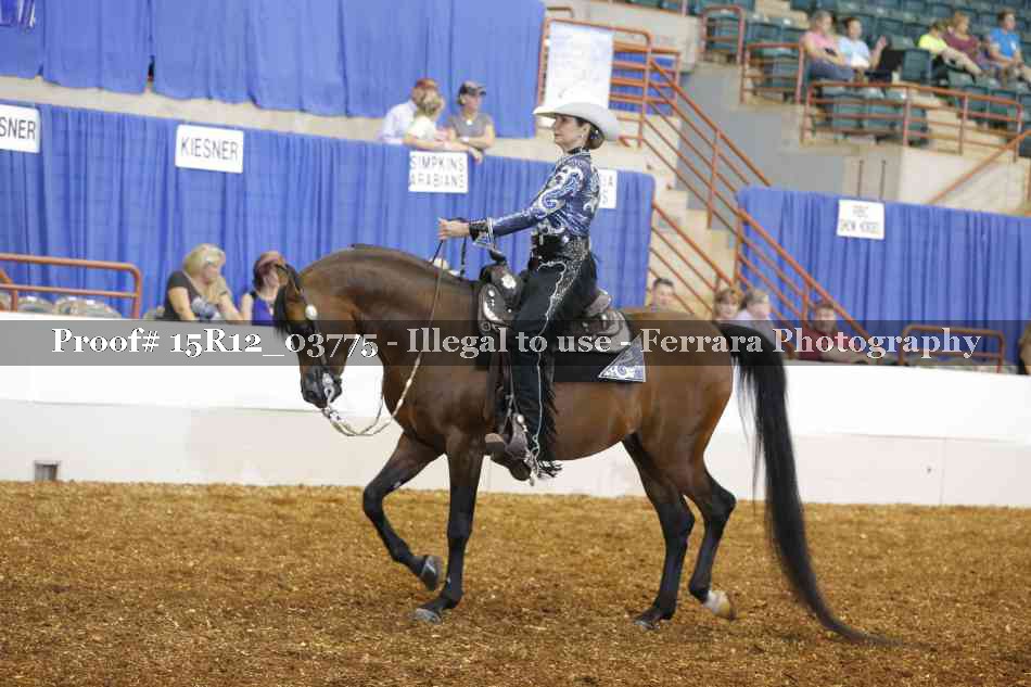 Proof 15R12_03775
