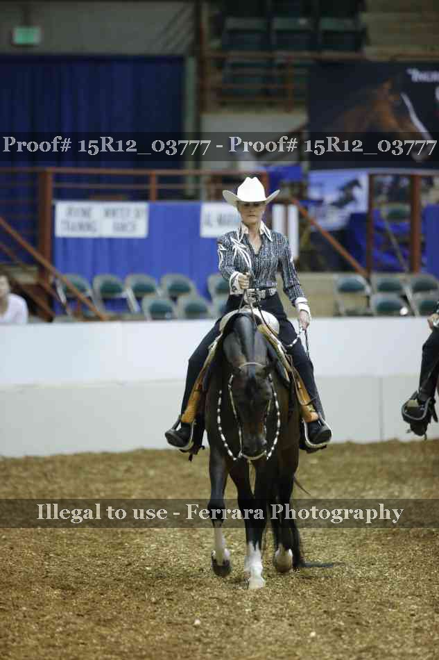 Proof 15R12_03777